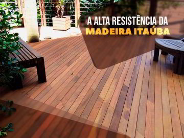 Descubra a durabilidade e preço da madeira itaúba!