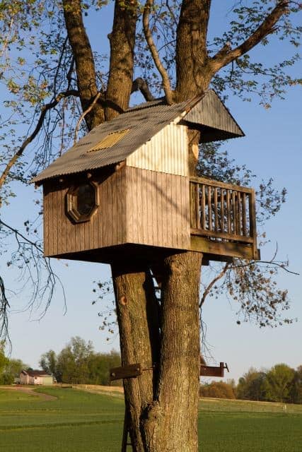Casa da árvore com uma janela para visualizar o horizonte.