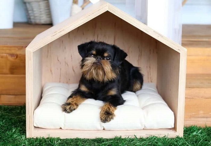 casinha de madeira pequena para cachorro.
