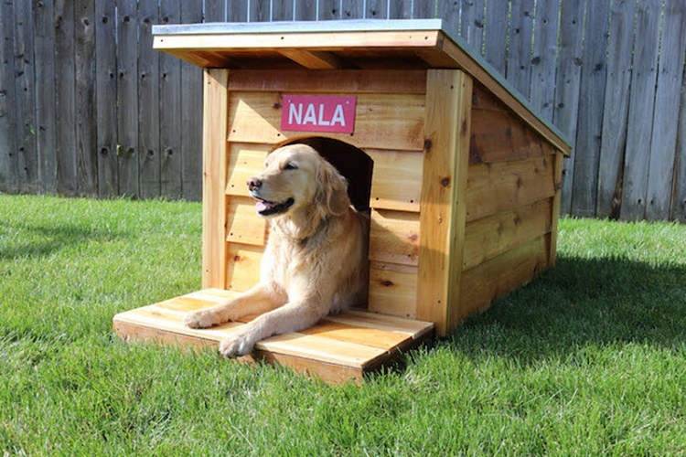 Casinha de madeira com telhado de metal para cachorro.