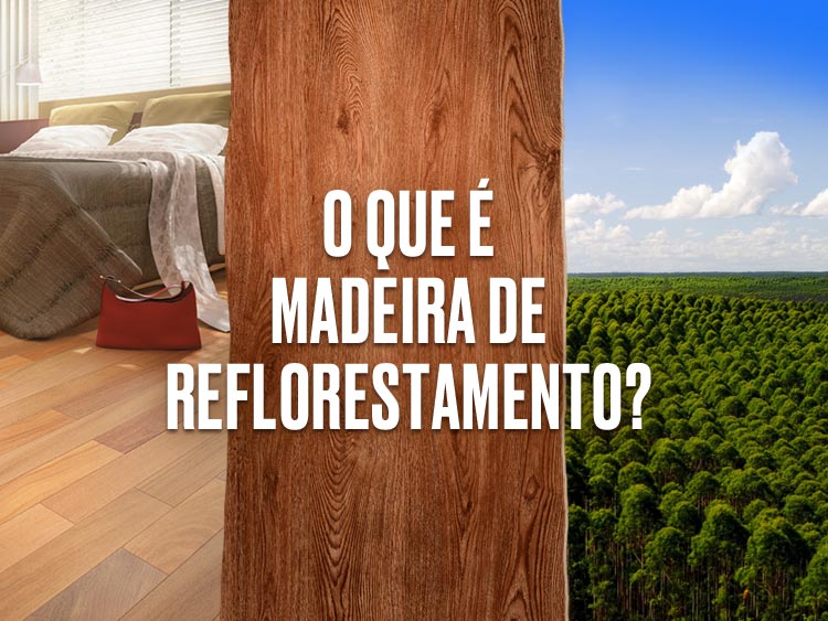 Descubra o que é os tipos de madeira de reflorestamento.