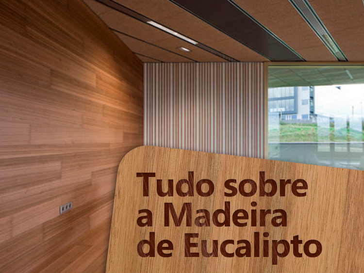 Conheça as características da madeira de eucalipto.