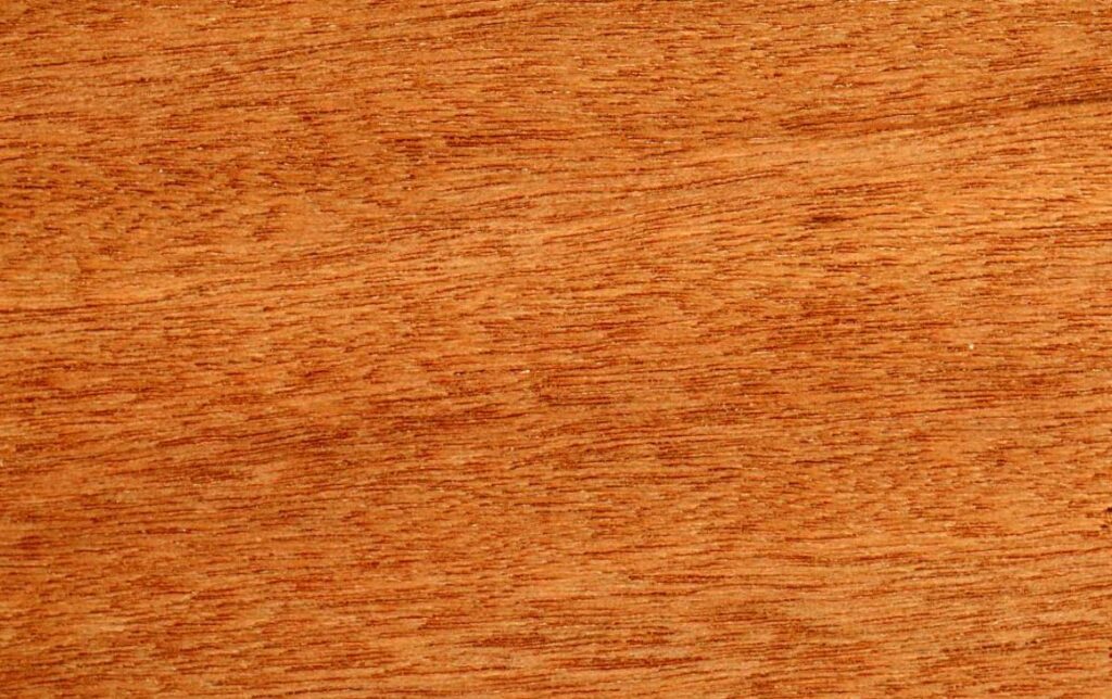 Textura e cor da madeira louro vermelho.