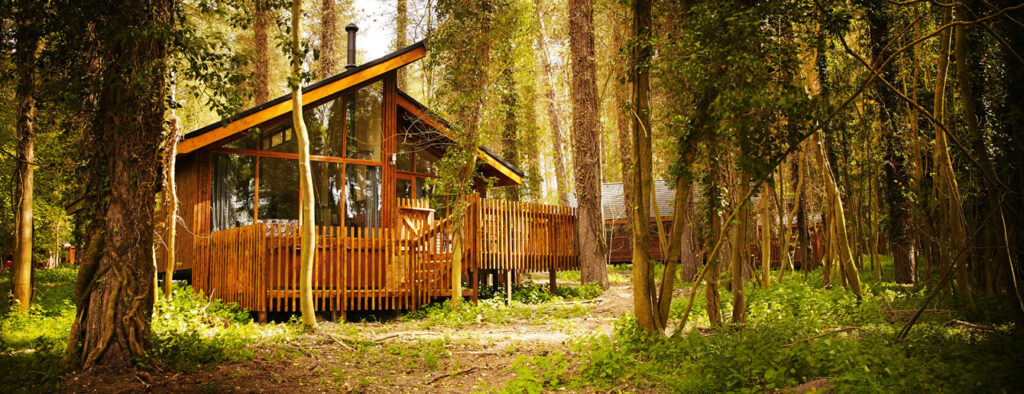 Cabana de madeira na floresta.